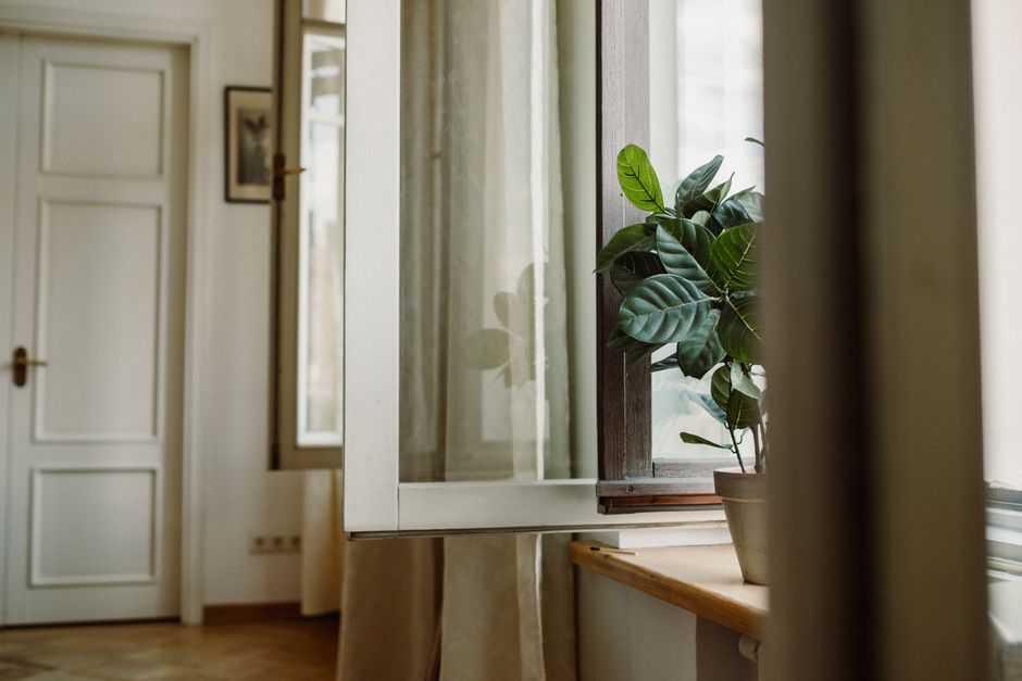 Air Purifiers vs Open Windows: Which Actually Works Better?